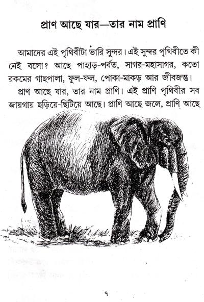 book-preview-slider-dtqufzksrt